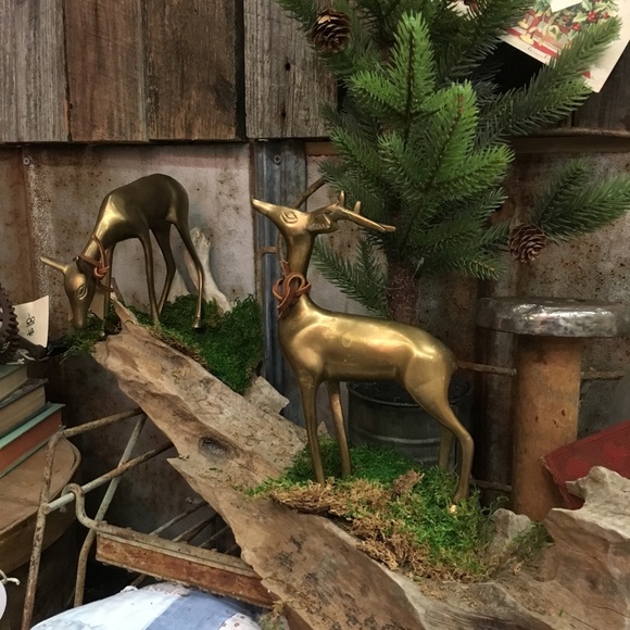 Meet your Posher, Garana - Picture 1 of 2